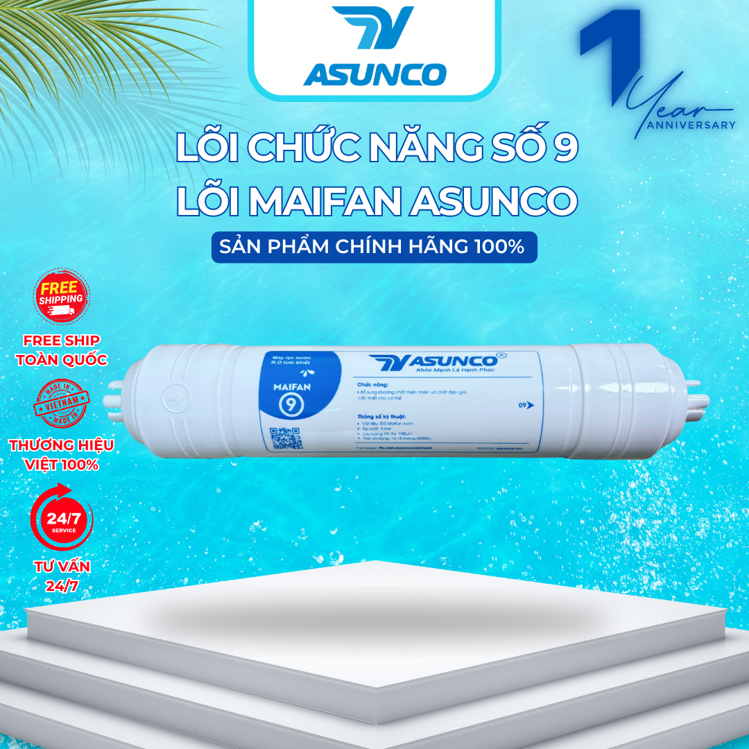 LÕI LỌC CHỨC NĂNG SỐ 9 MAIFAN ASUNCO